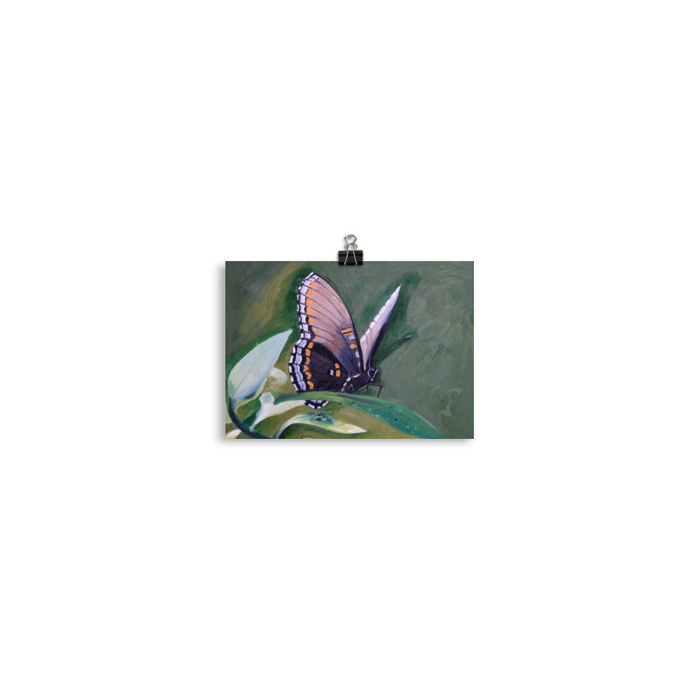 Monarch butterfly