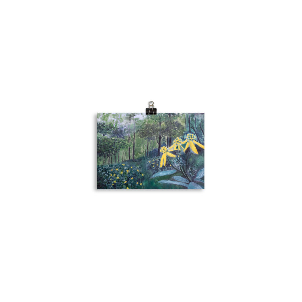 Flower in forest