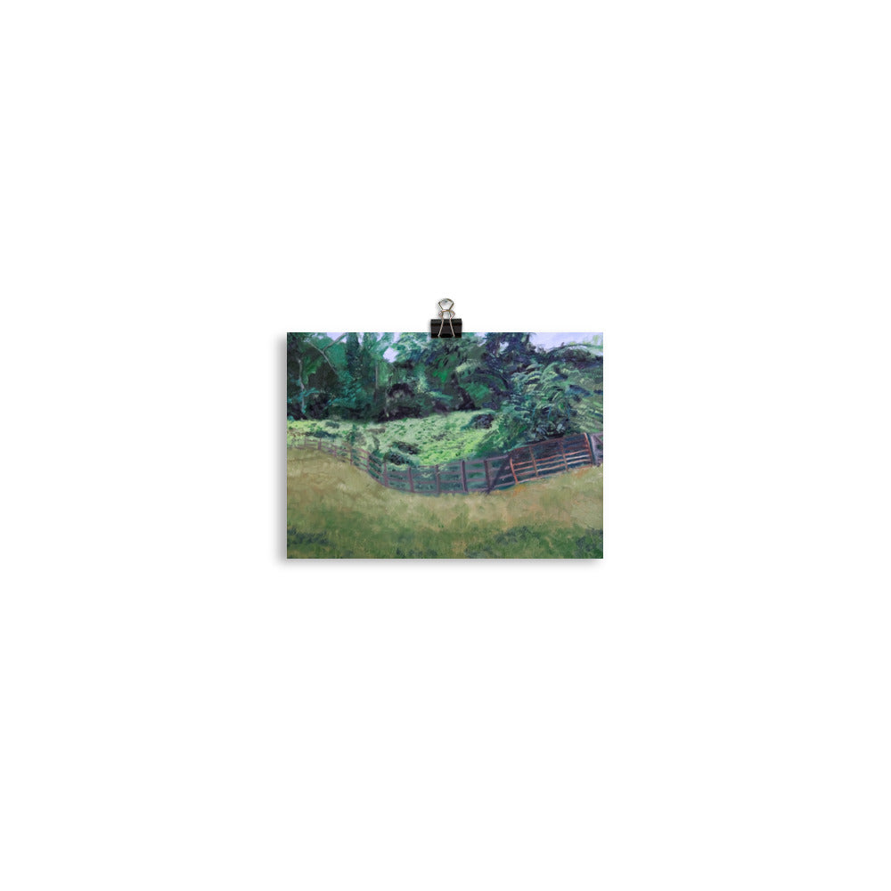 Field and pasture