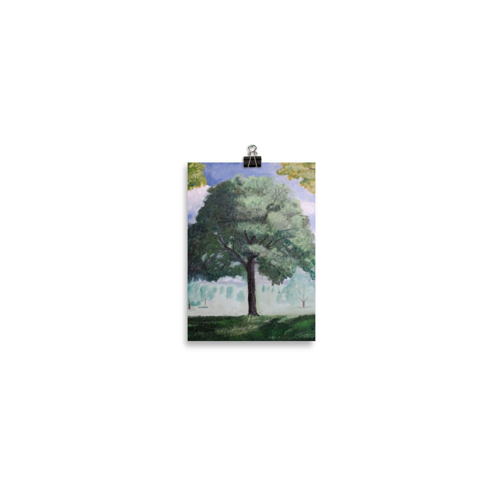 Single tree