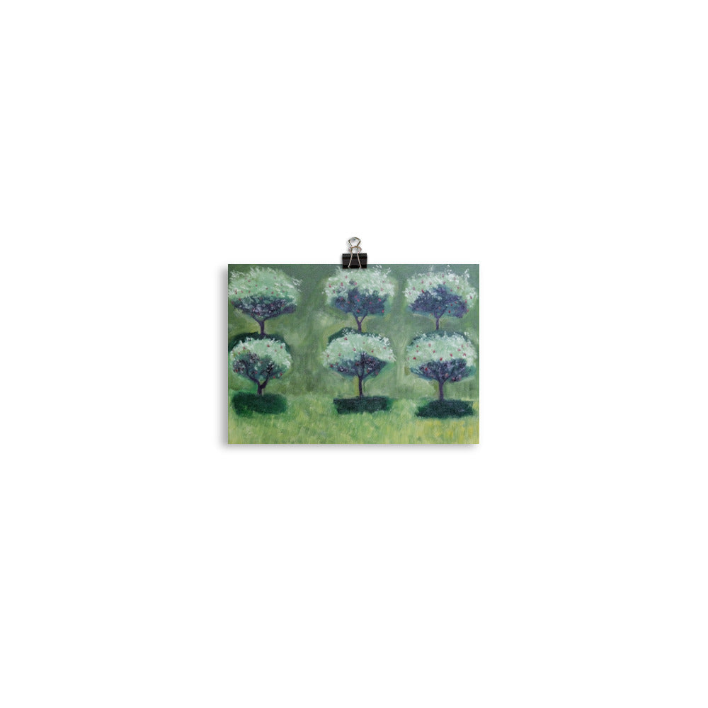 Apple trees