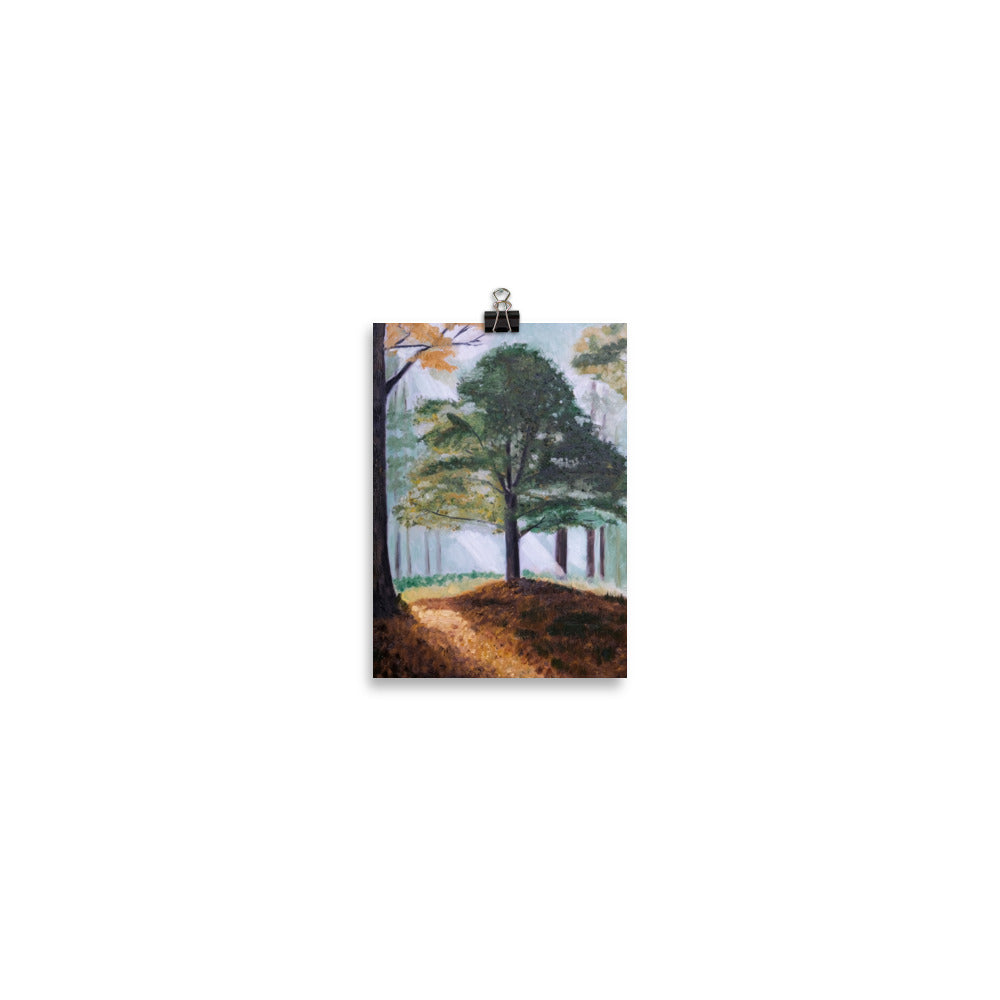 Hickory tree