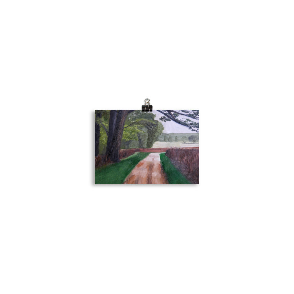 Path with heath
