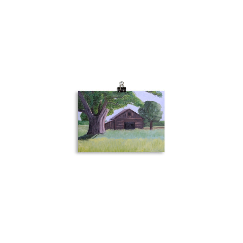 Oak tree and barn