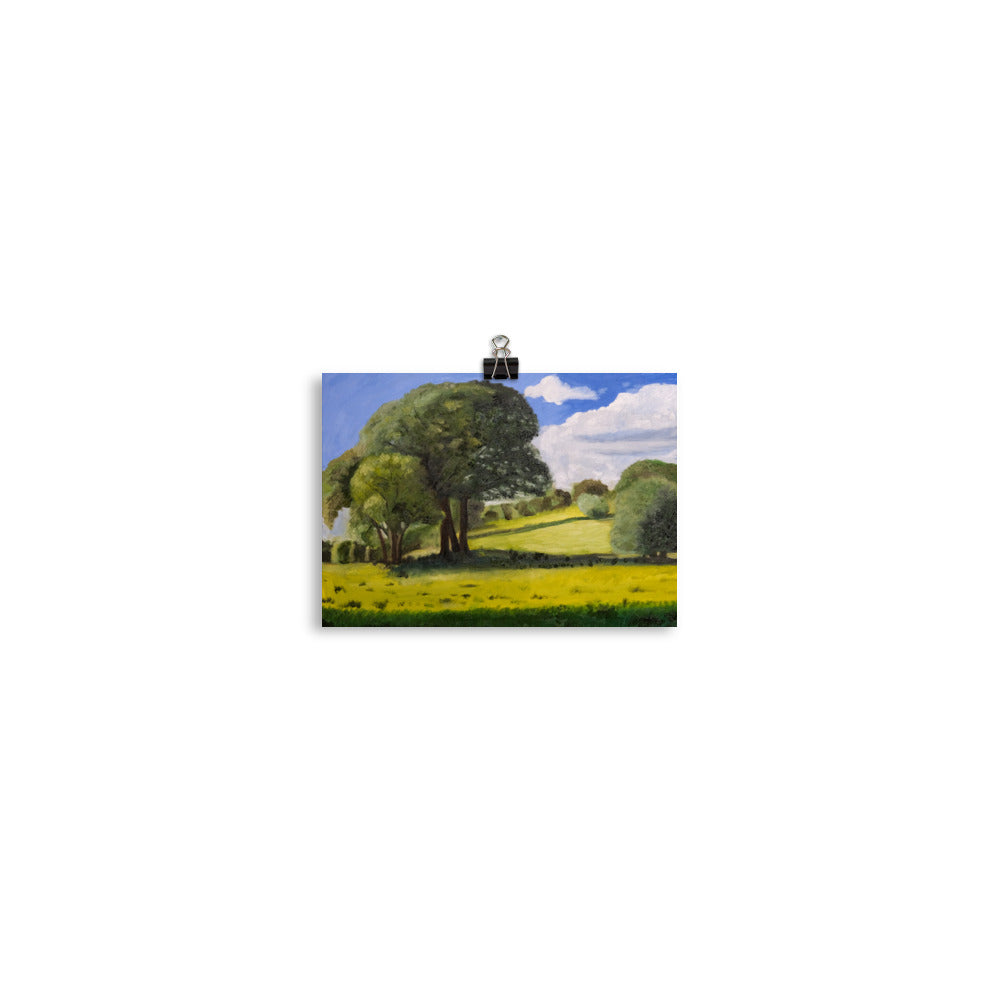 Trees in field
