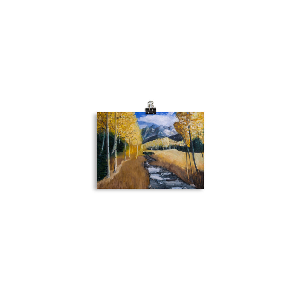 Stream and aspen trees