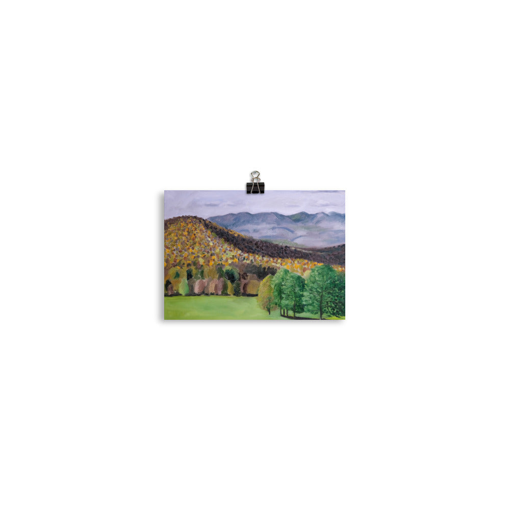Trees and mountains 1