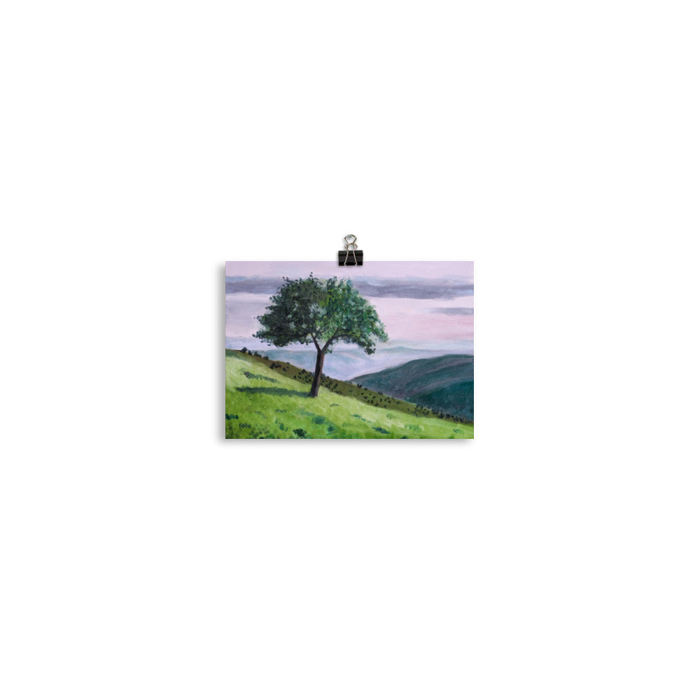 Apple tree