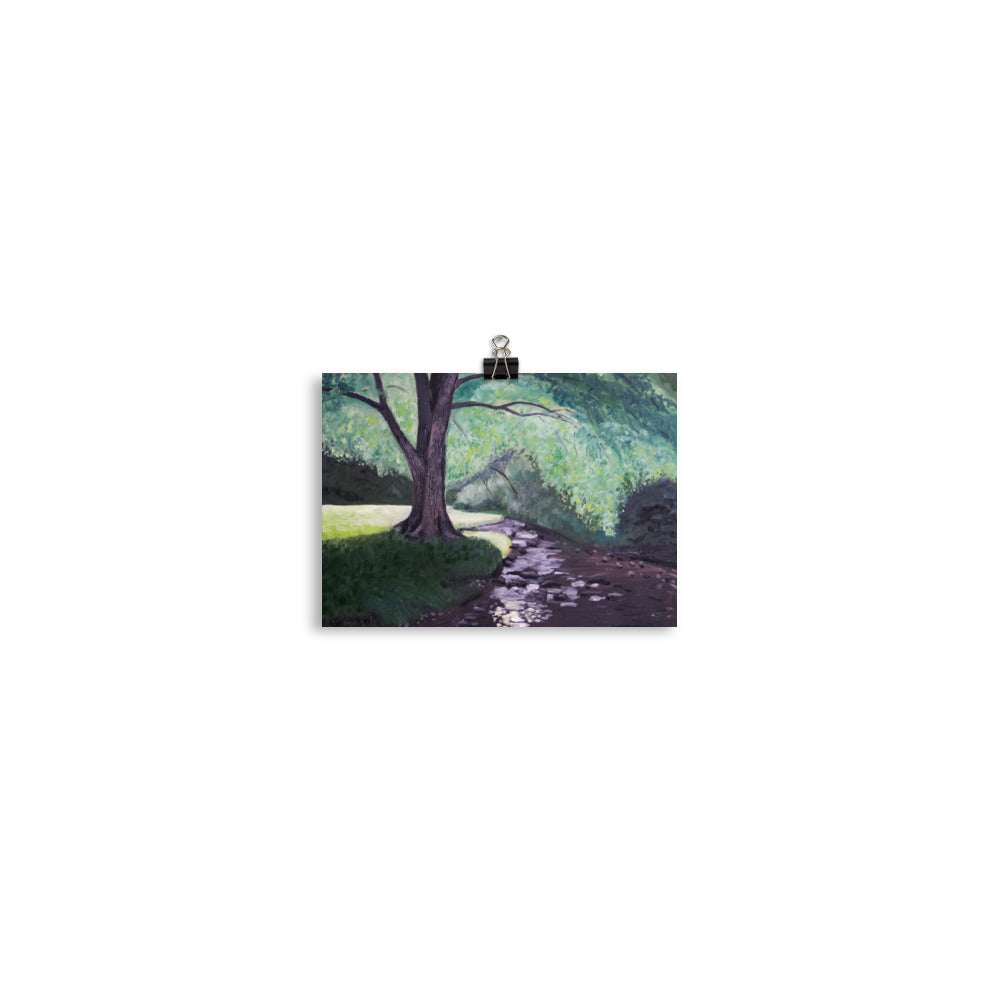Tree and stream
