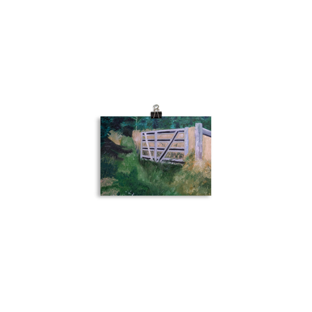 Pasture fence 1