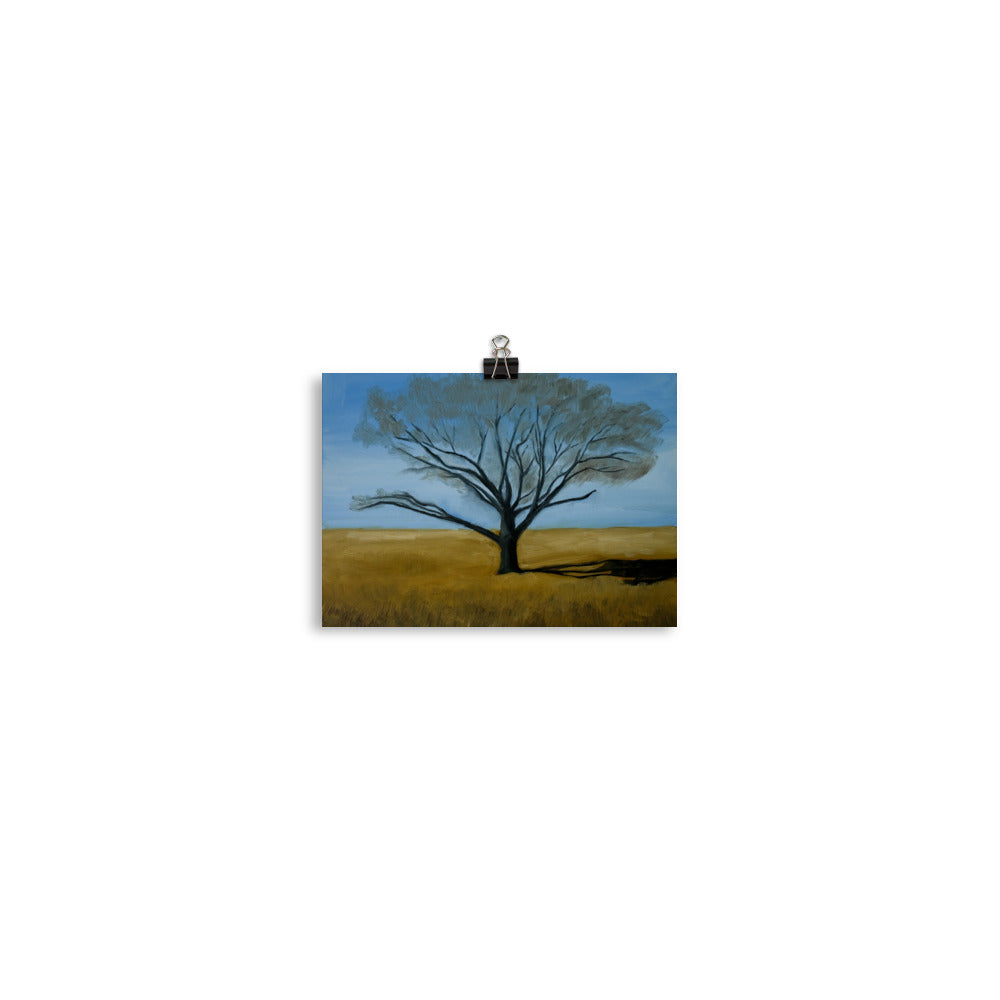 Landscape 2
