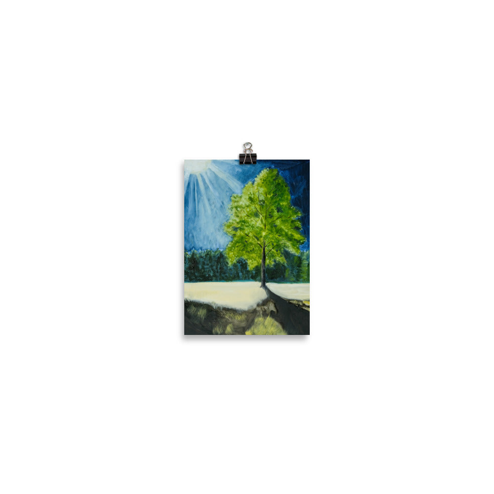 Landscape 5