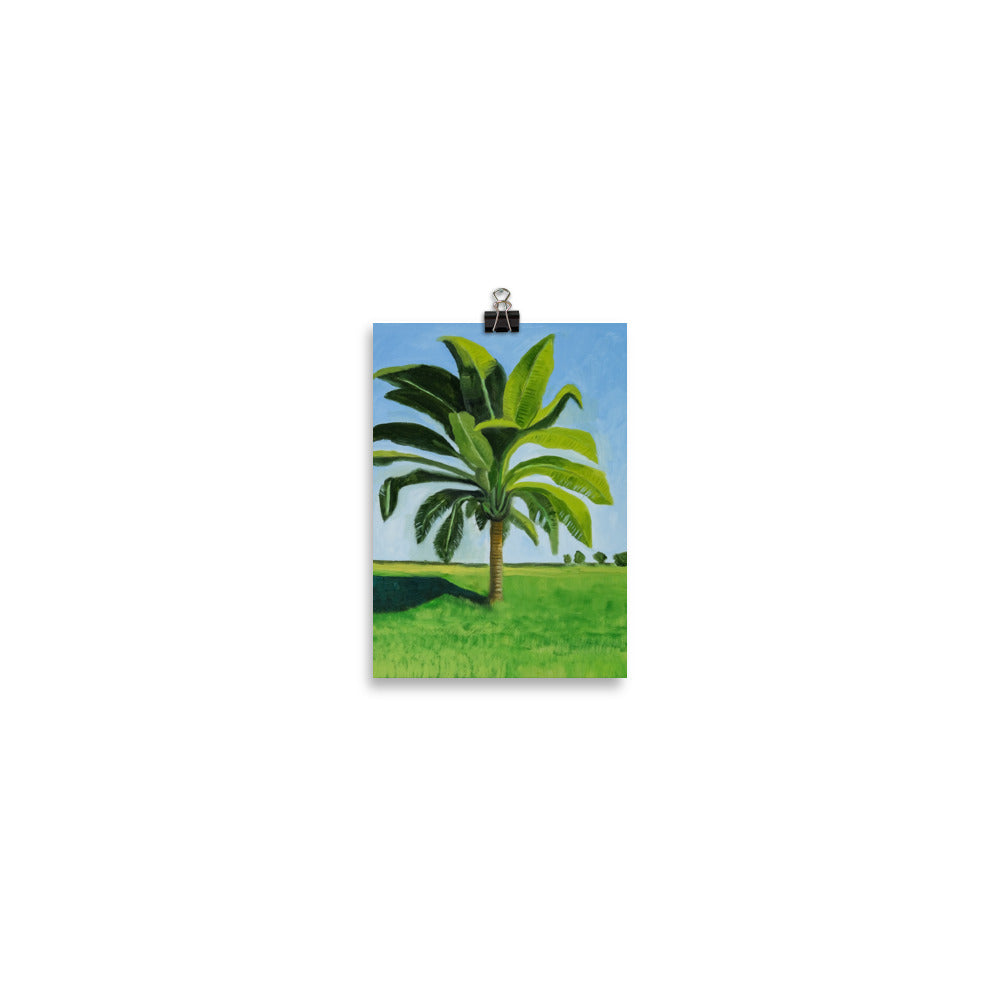 Landscape 8