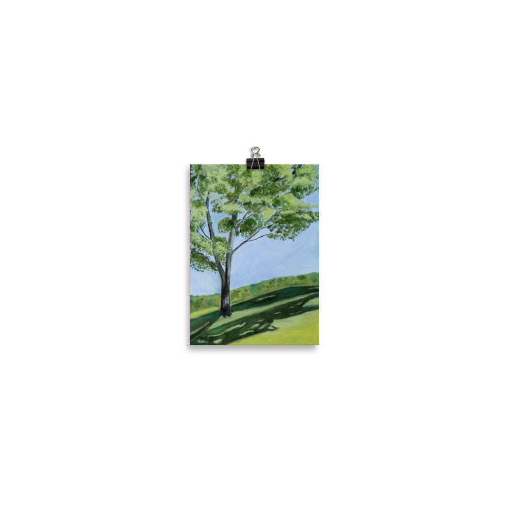 Landscape 10
