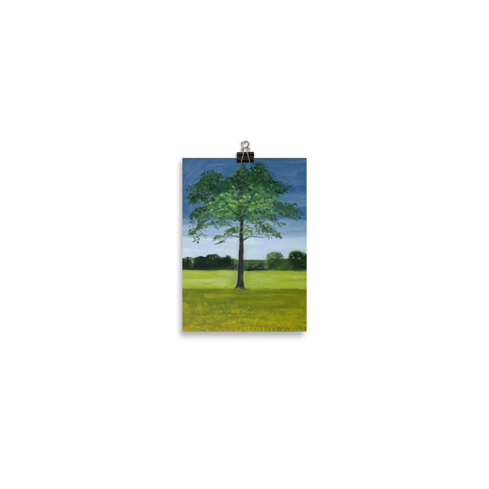 Landscape 12
