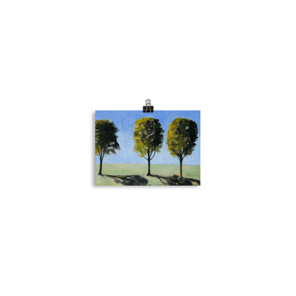 Landscape 14