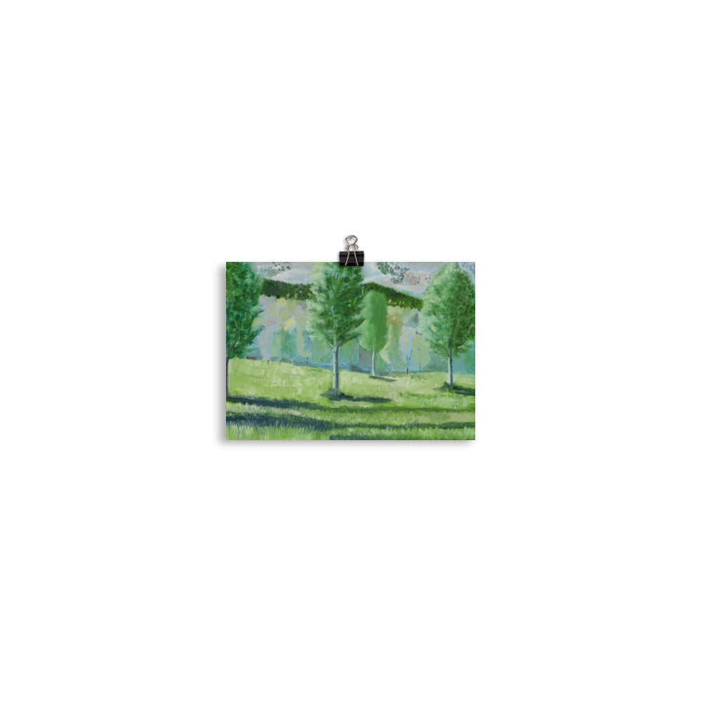 Landscape 16