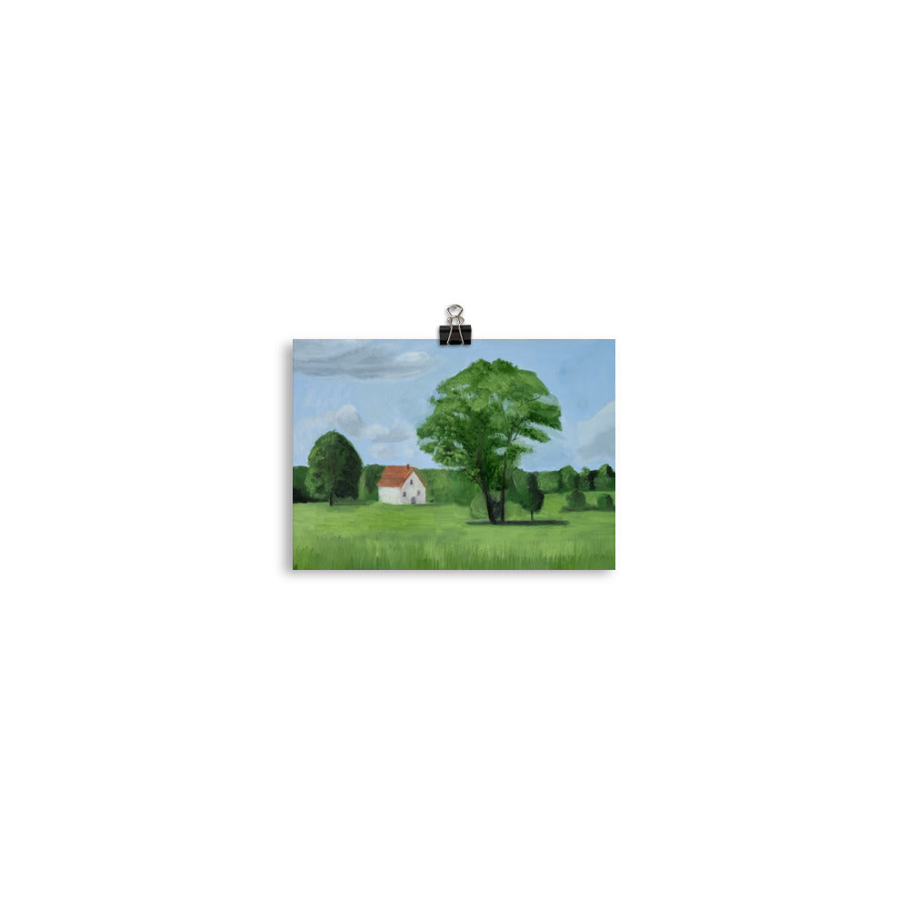 Landscape 17