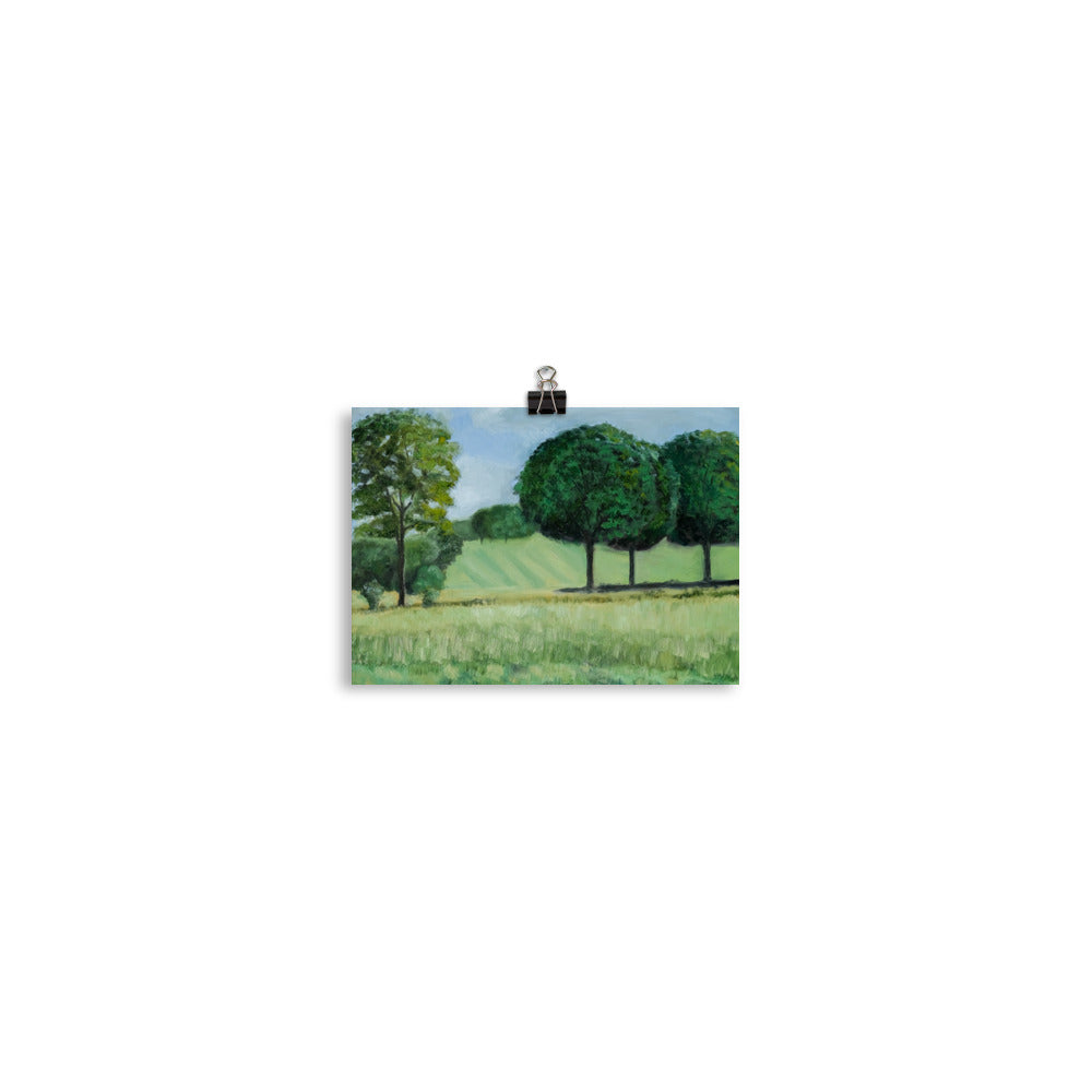 Landscape 18