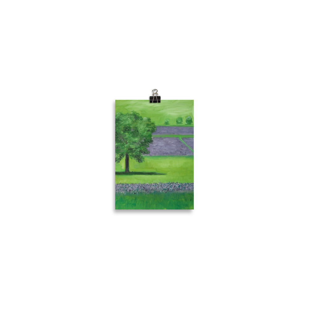 Landscape 19
