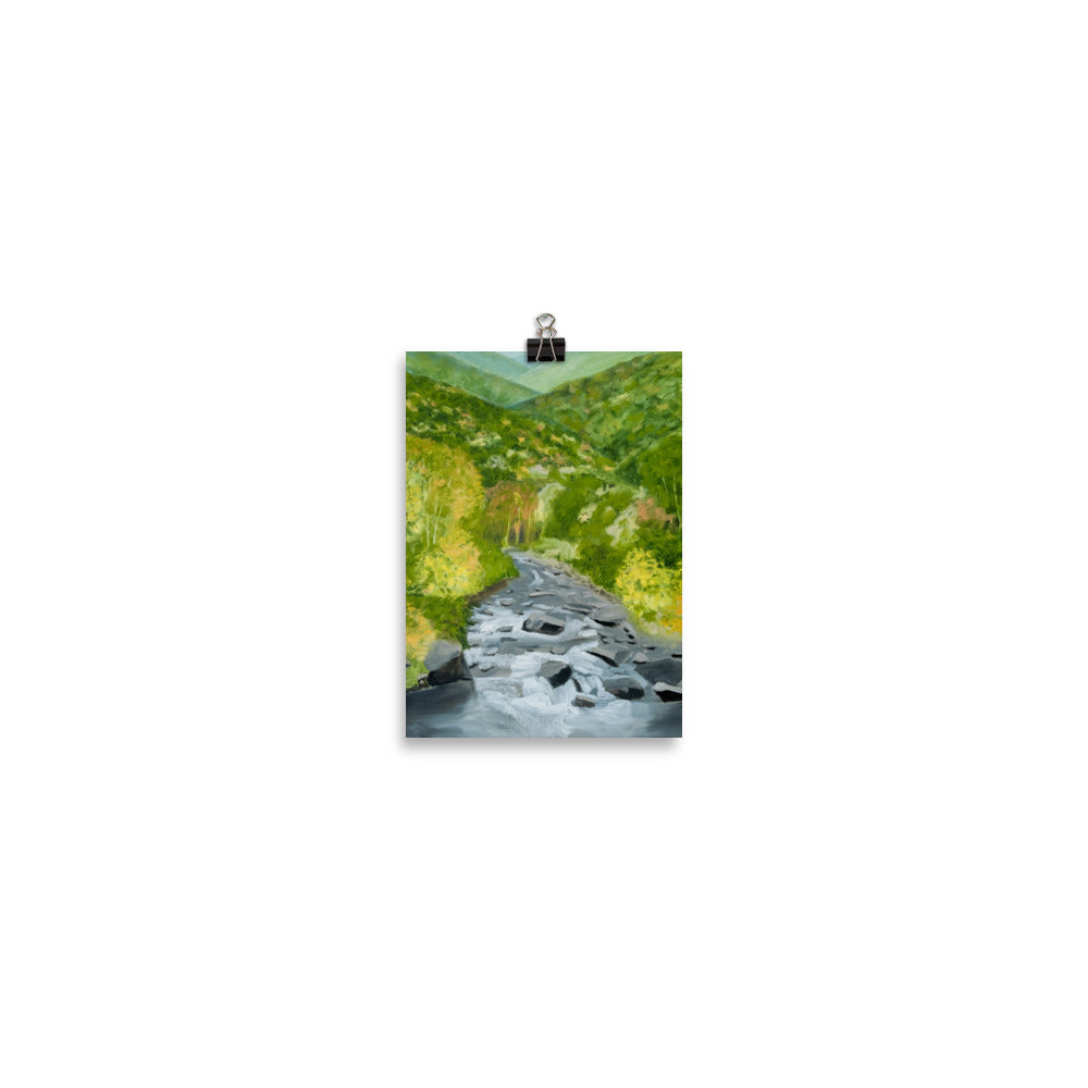 Landscape 25