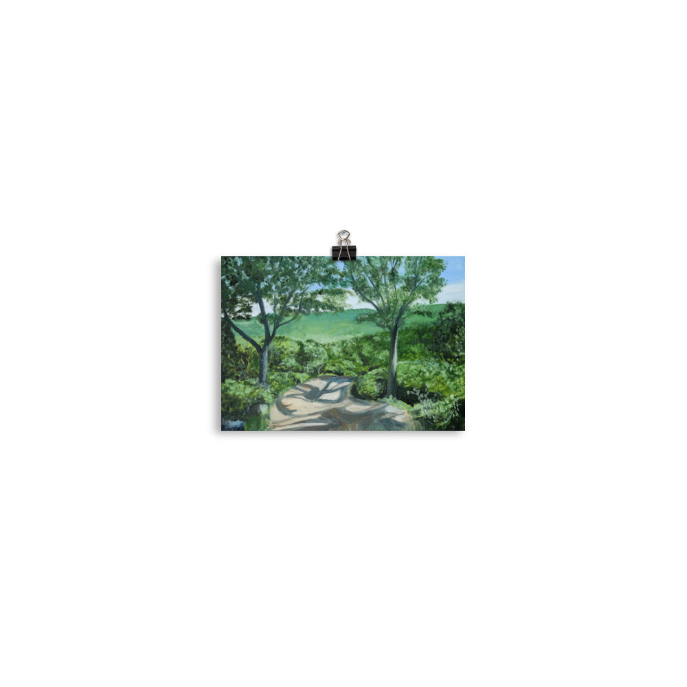 Landscape 27