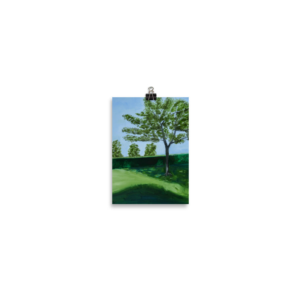 Landscape 28