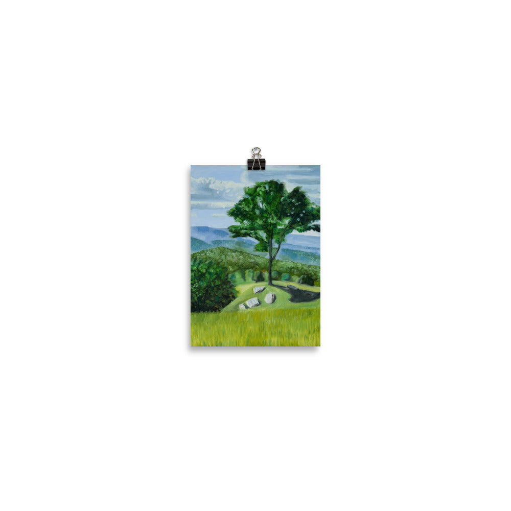 Landscape 36