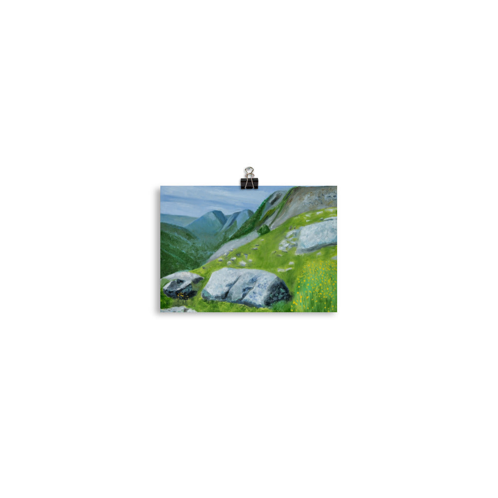 Landscape 37