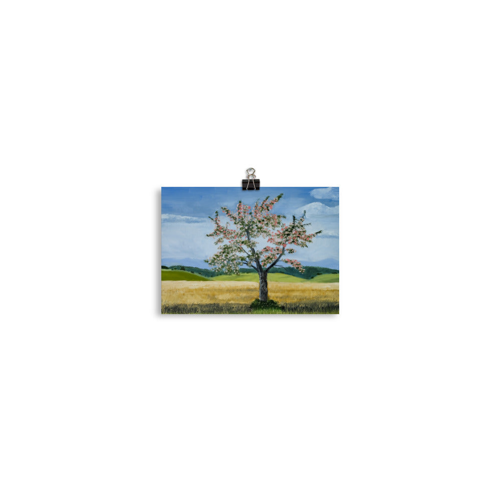 Landscape 38