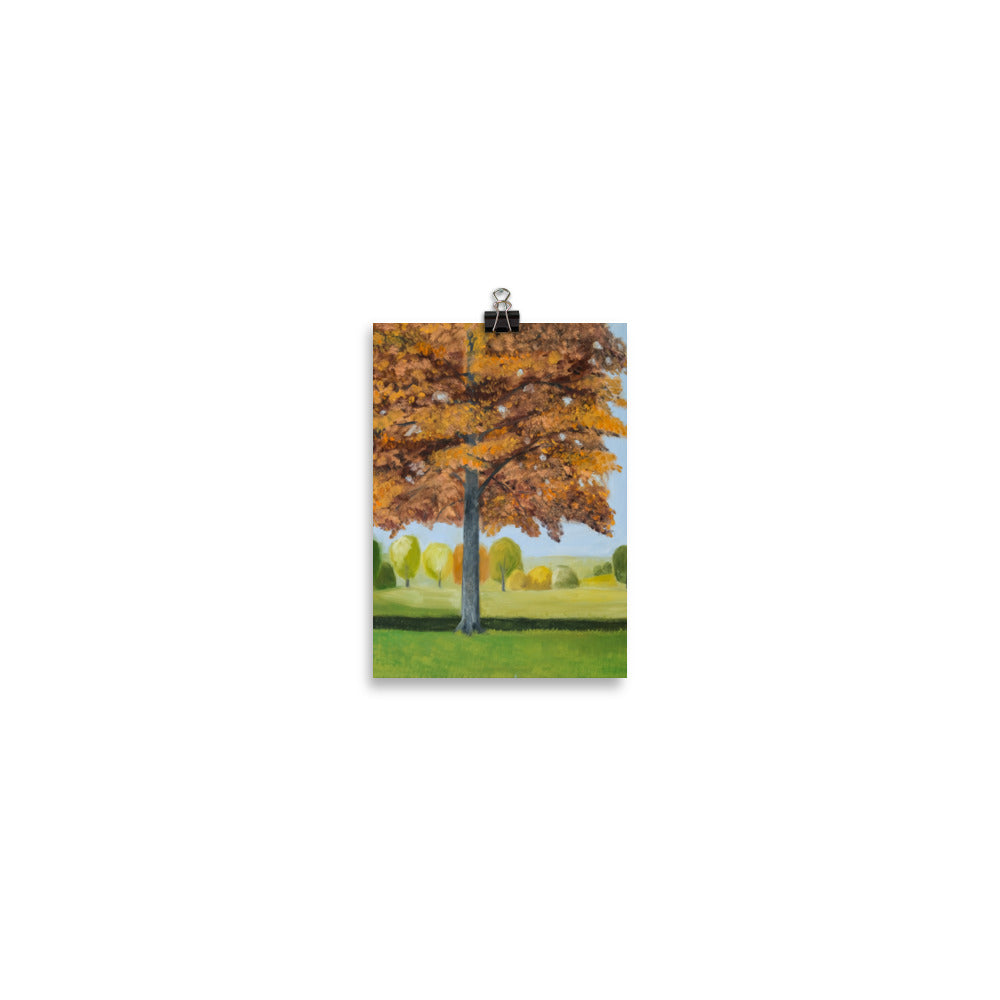 Landscape 41