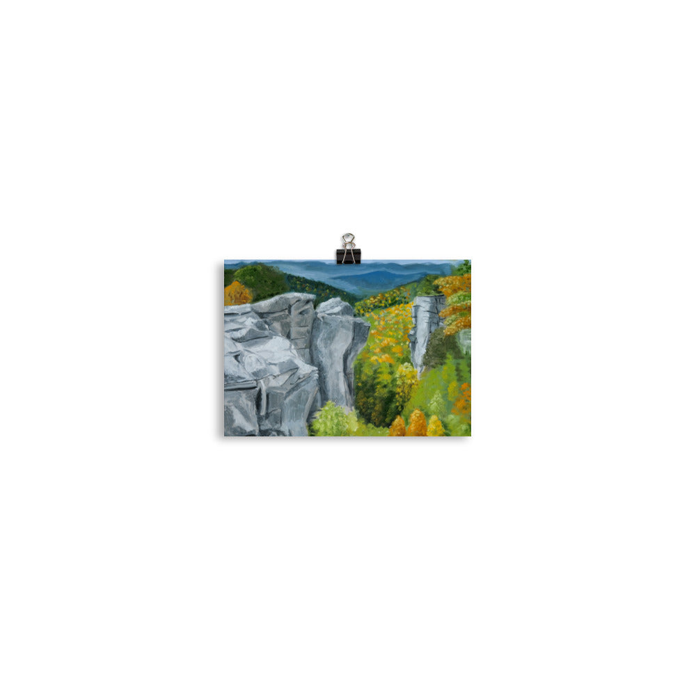 Landscape 43