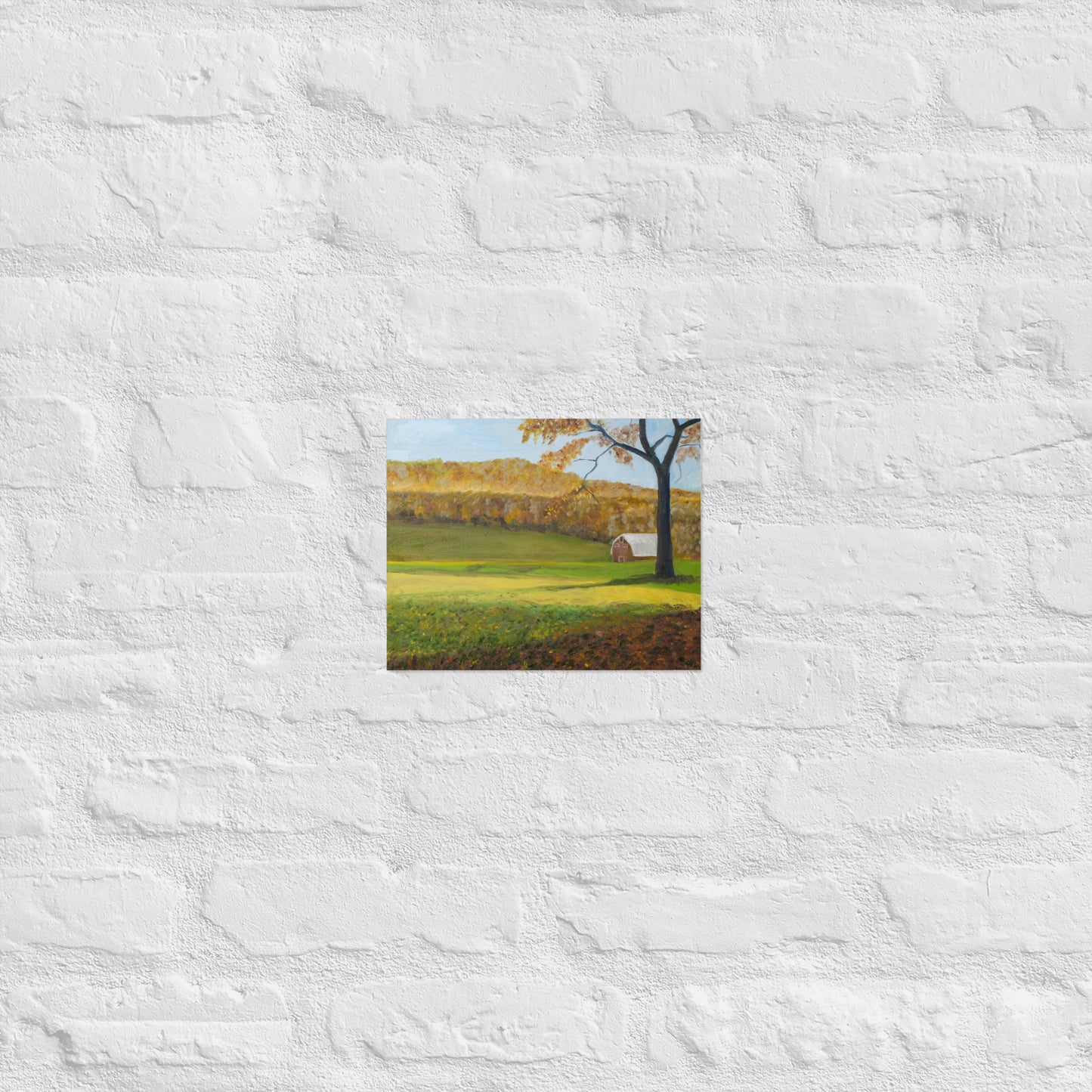 Field and barn