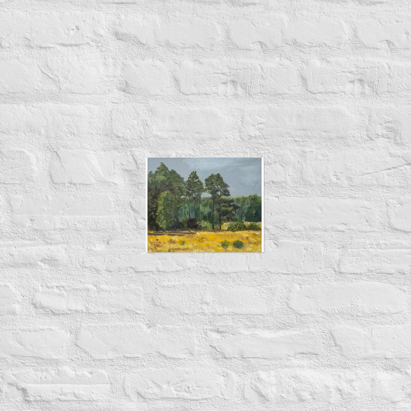 Trees in middleground