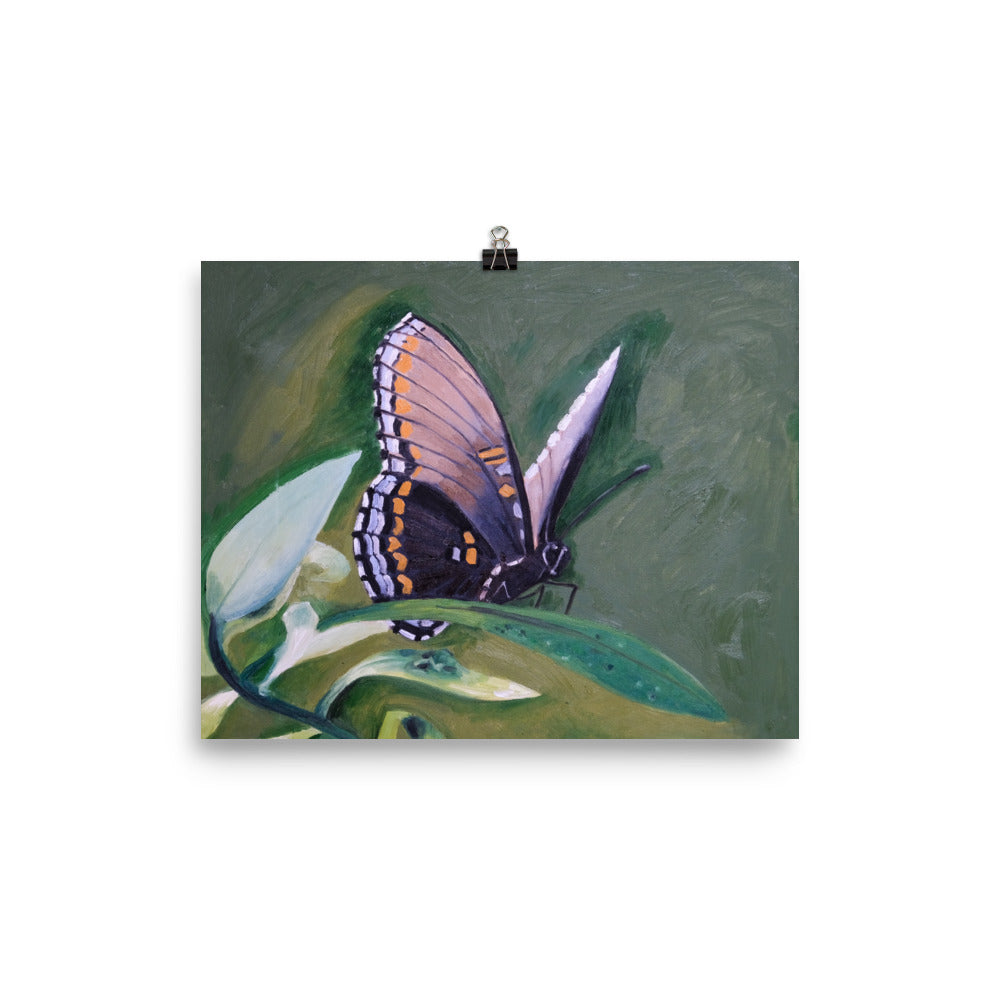 Monarch butterfly