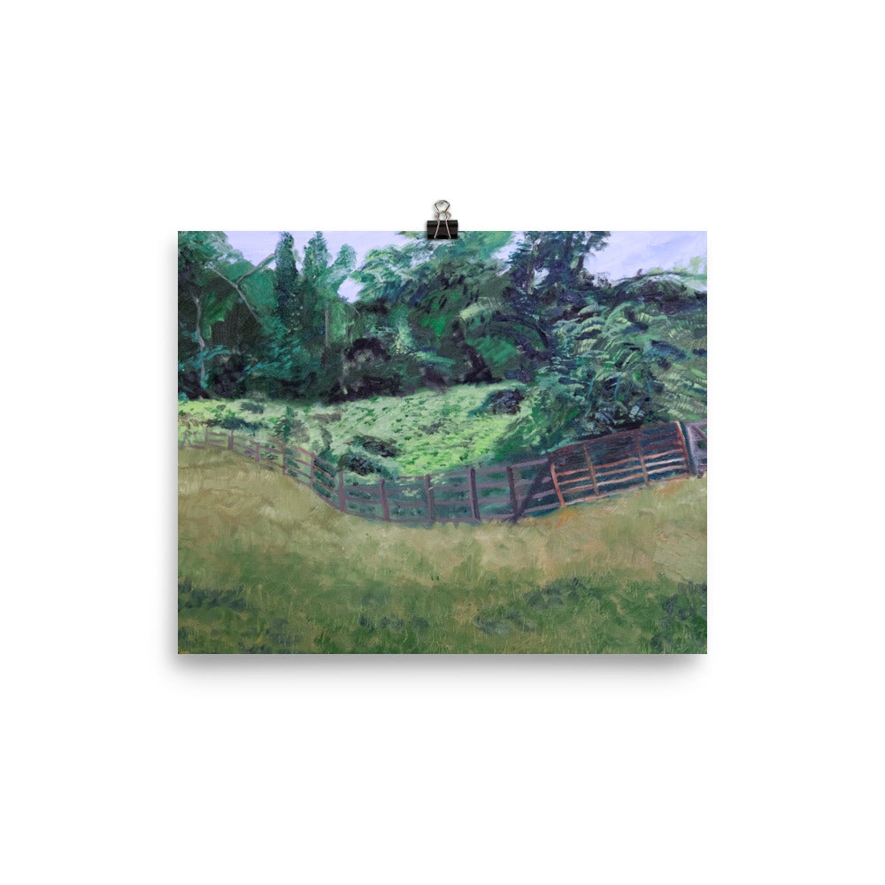 Field and pasture