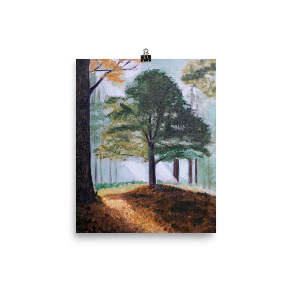 Hickory tree