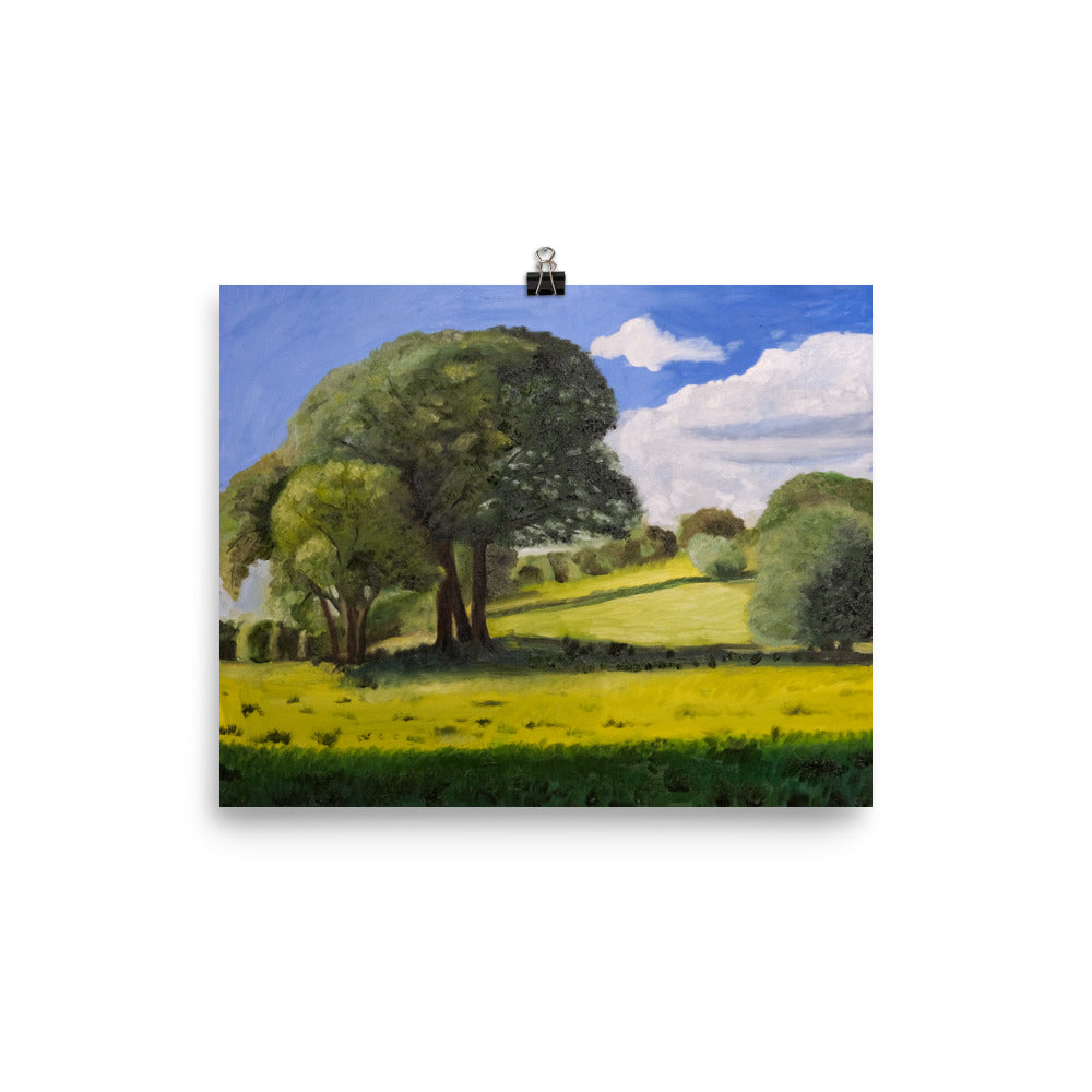 Trees in field