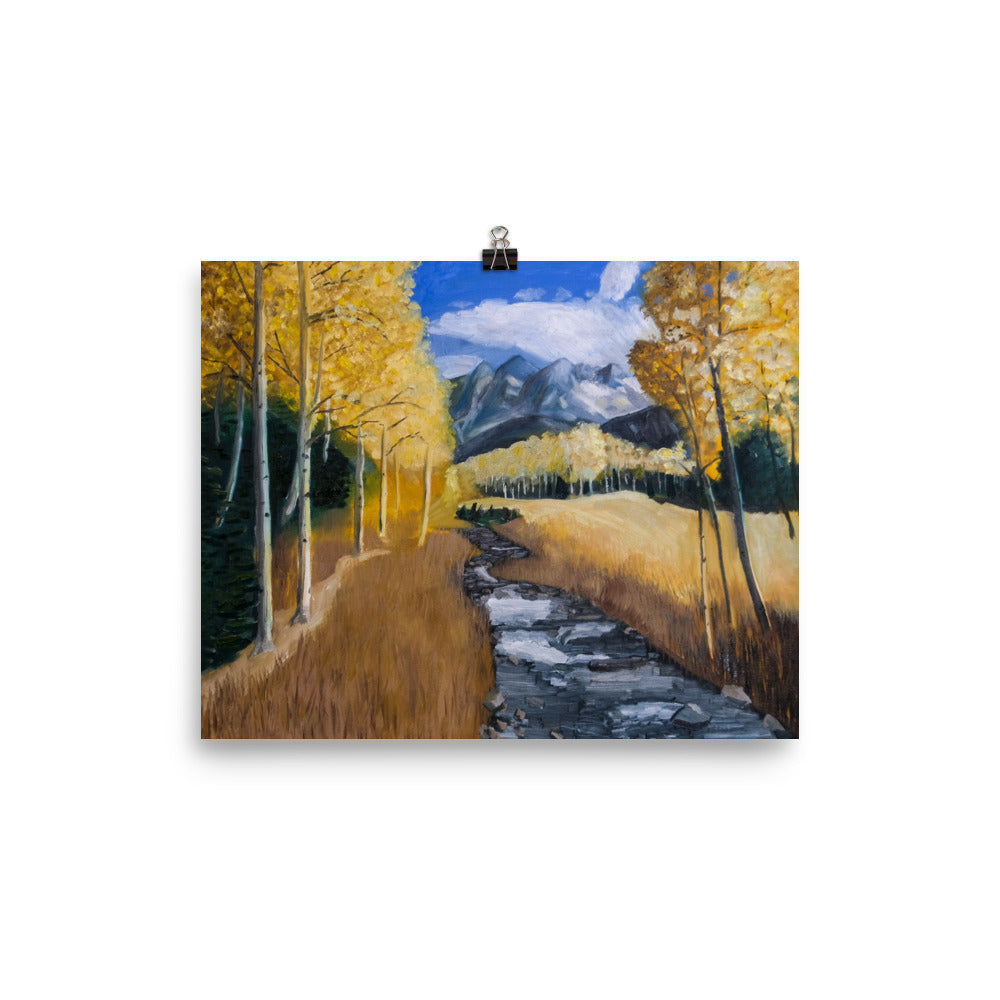 Stream and aspen trees