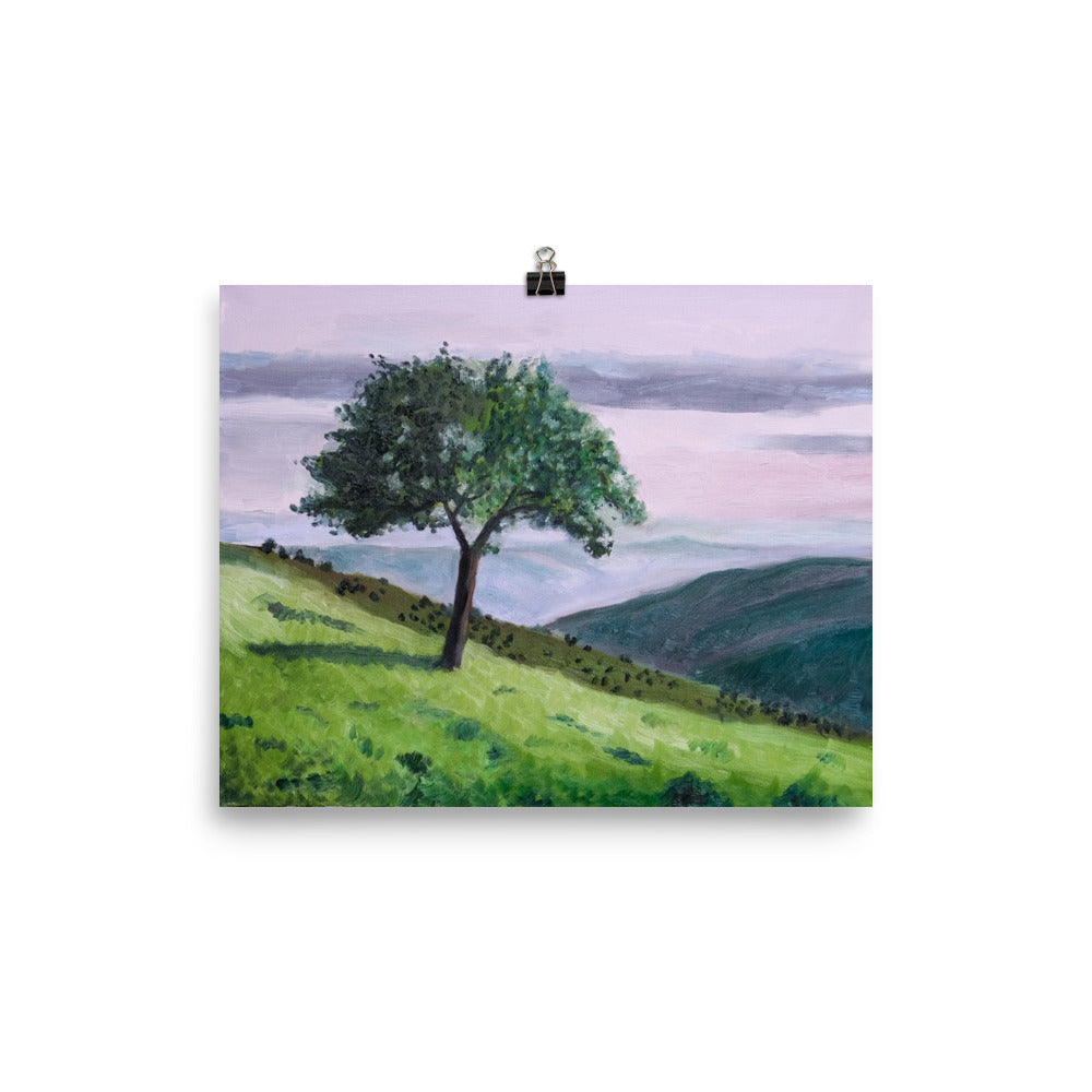 Apple tree