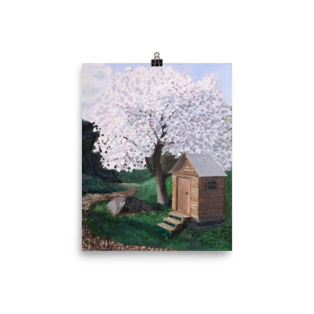 Cherry tree and outhouse