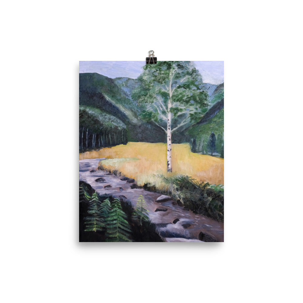 Birch tree and stream