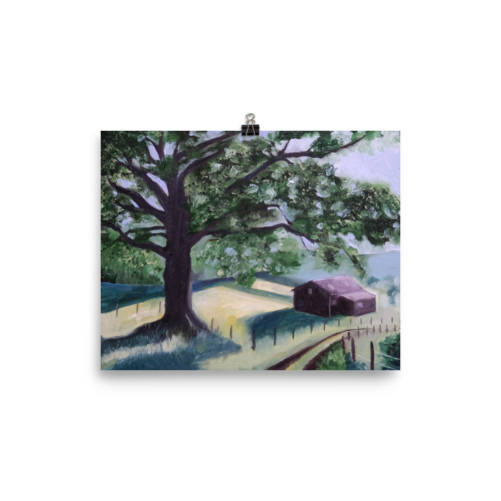 Oak tree and barn