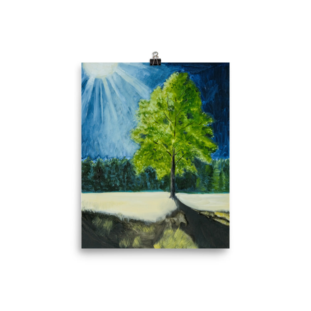 Landscape 5