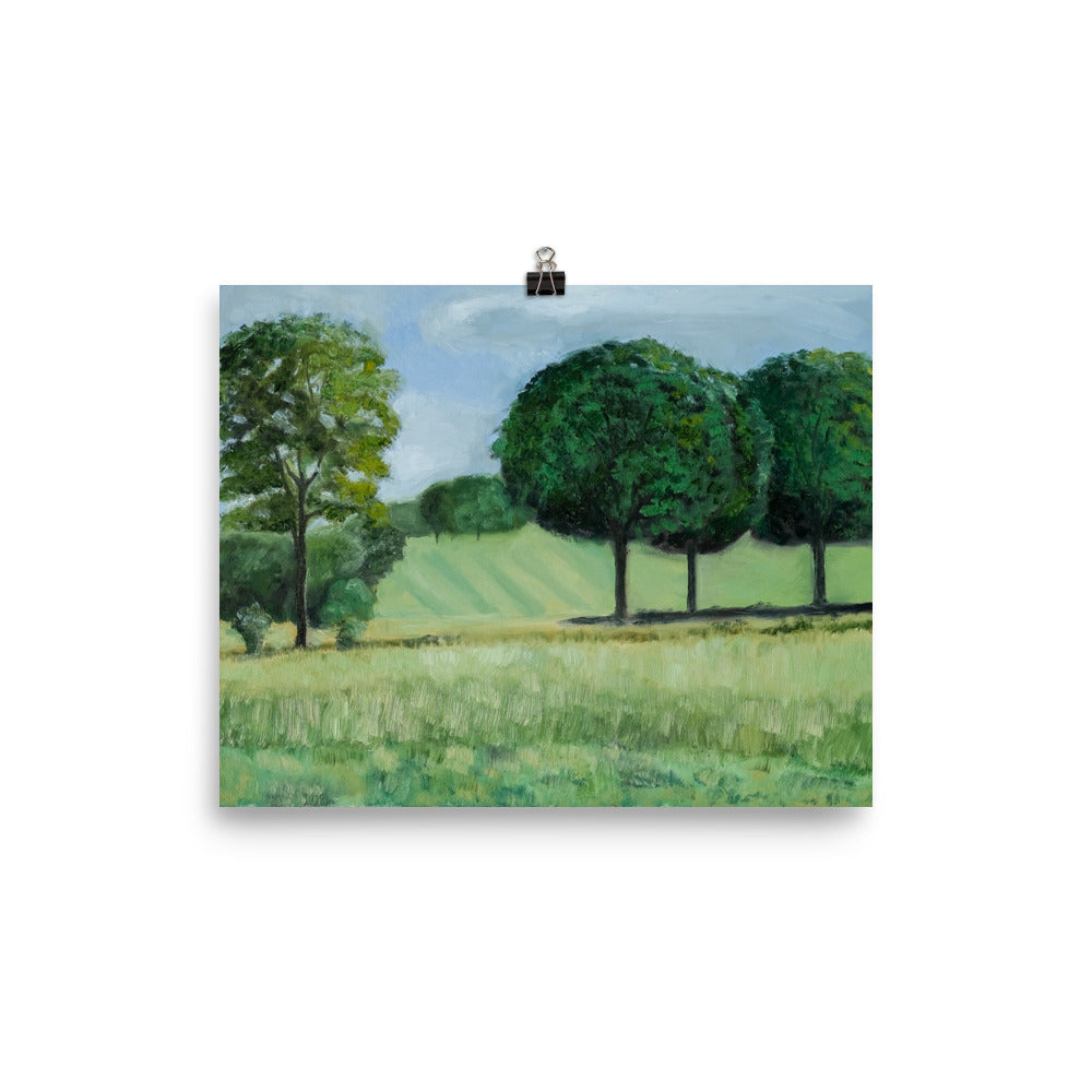 Landscape 18