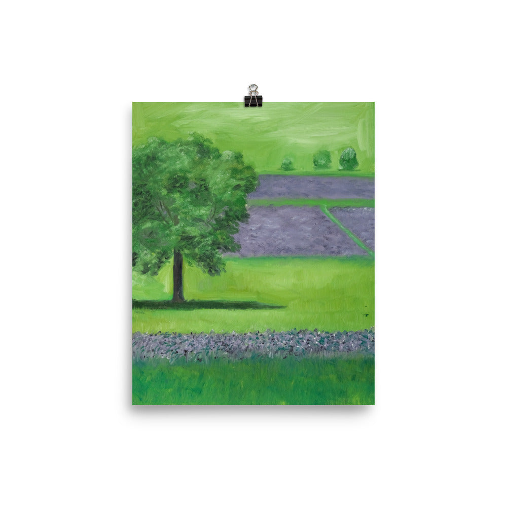 Landscape 19