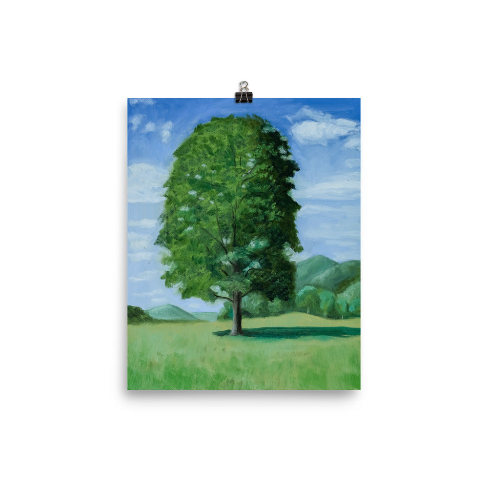 Landscape 20
