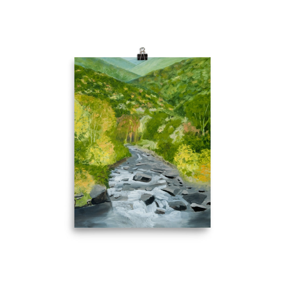Landscape 25