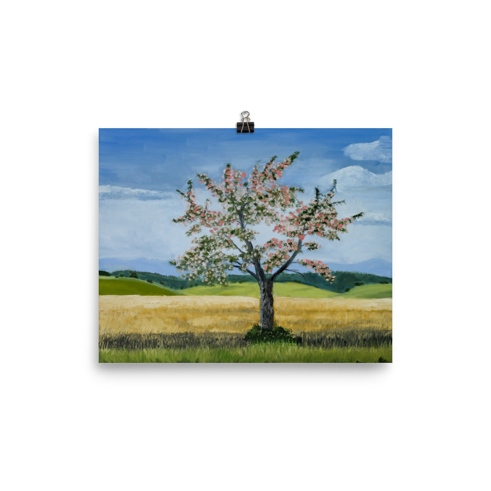 Landscape 38