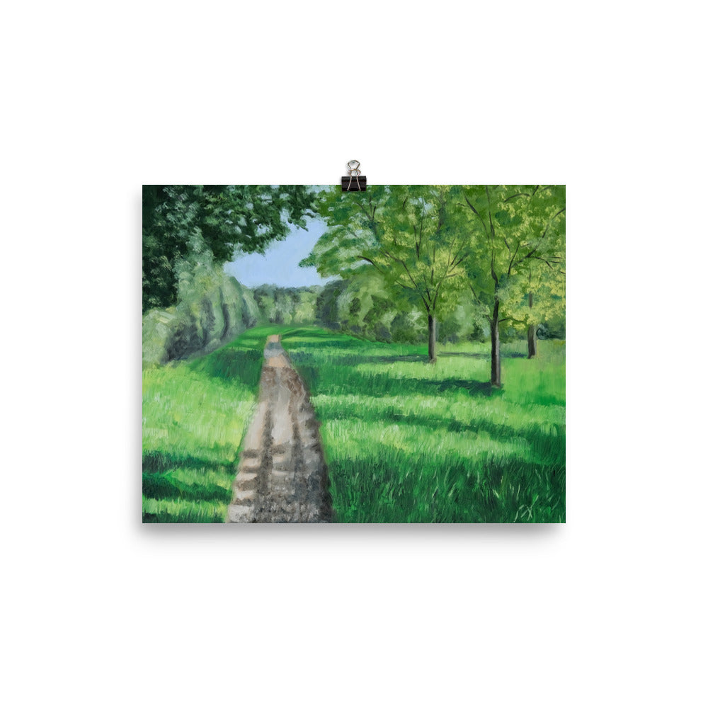 Landscape 39